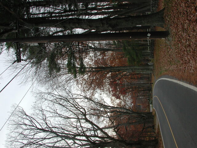 dscn0456