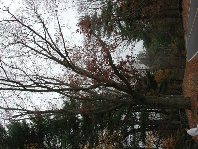 dscn0457