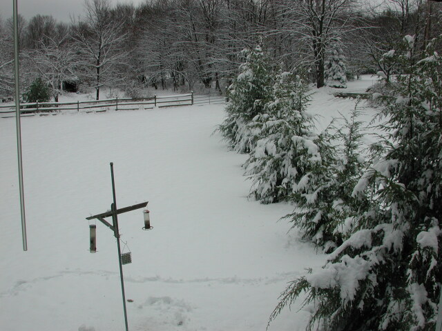 dscn0563