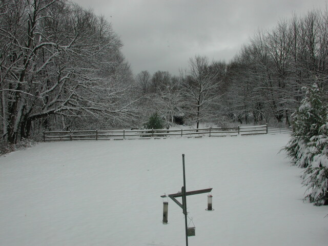 dscn0564