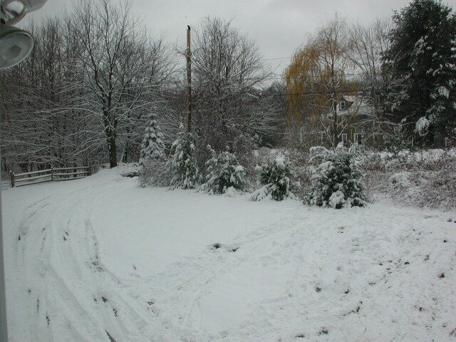 dscn0565