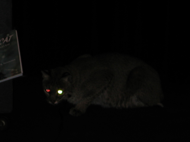 dscn1292