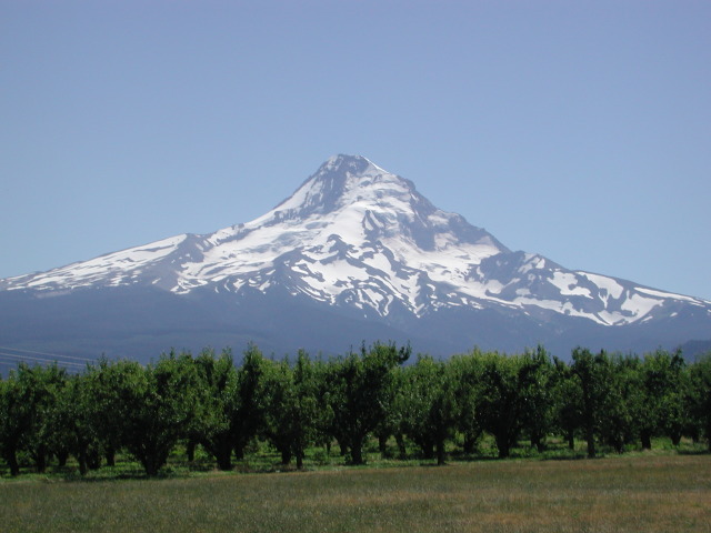 DSCN7443