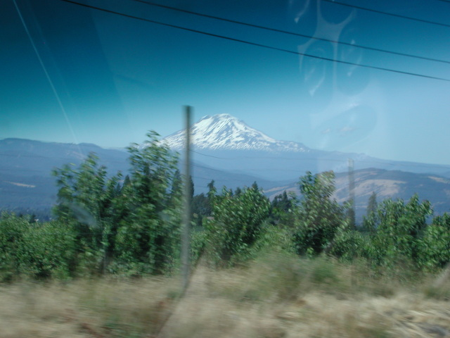 DSCN7446