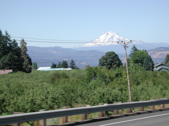 DSCN7448