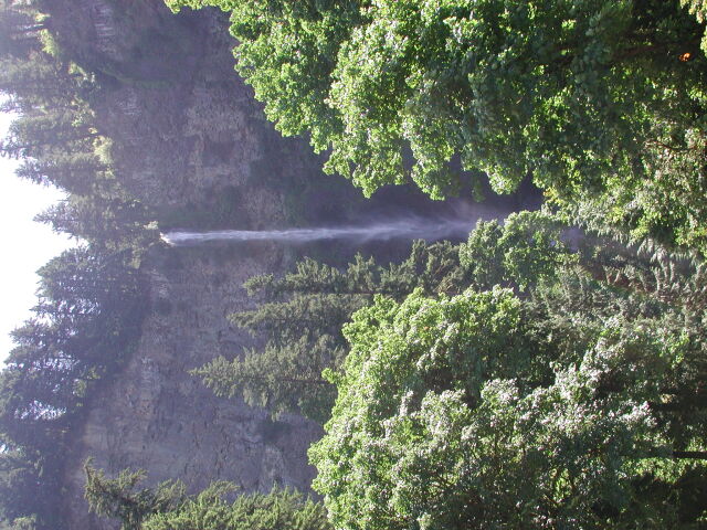 DSCN7467
