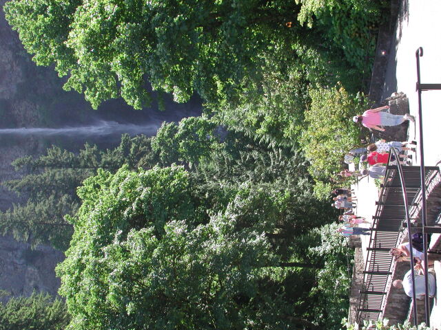 DSCN7468