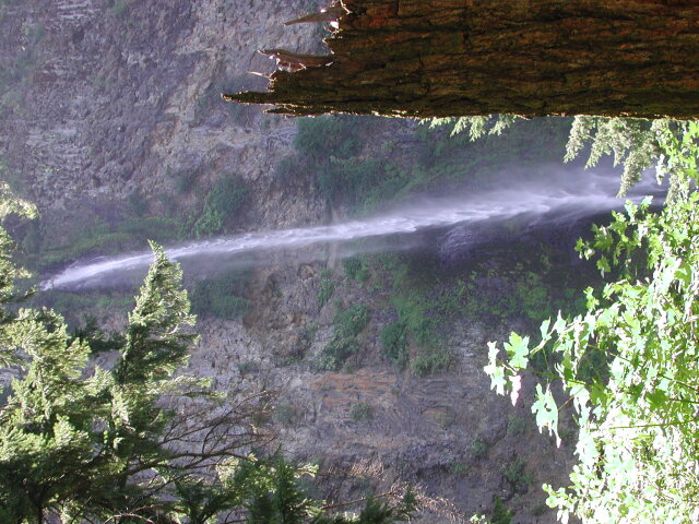 DSCN7472
