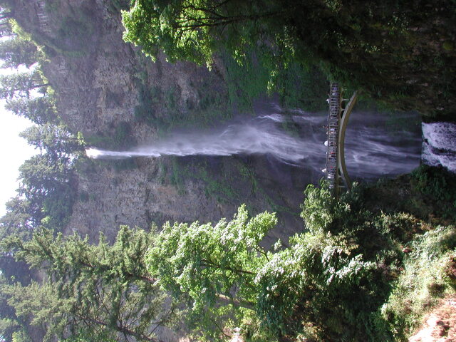 DSCN7487