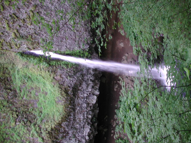 DSCN7502