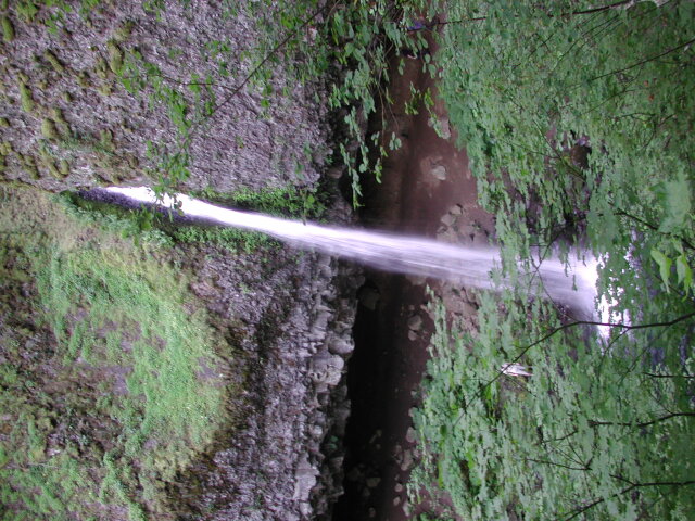 DSCN7503