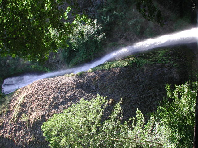 DSCN7505