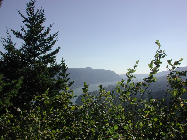 DSCN7520