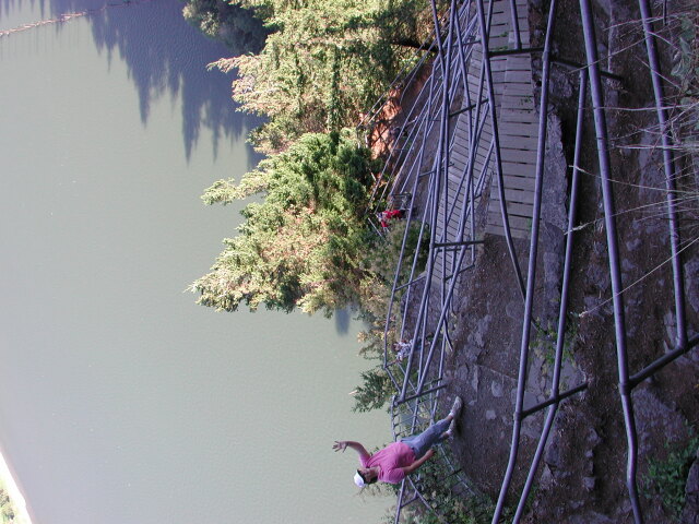 DSCN7530