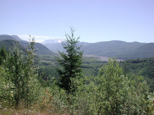 DSCN7532