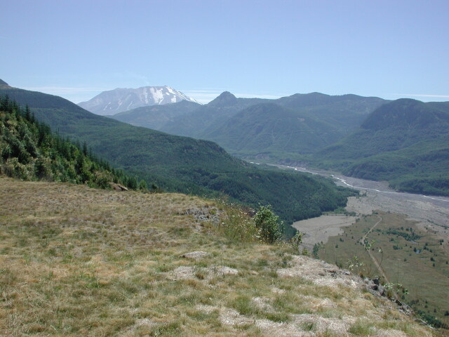 DSCN7534