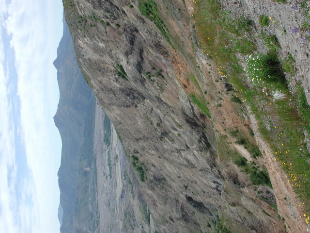 DSCN7553