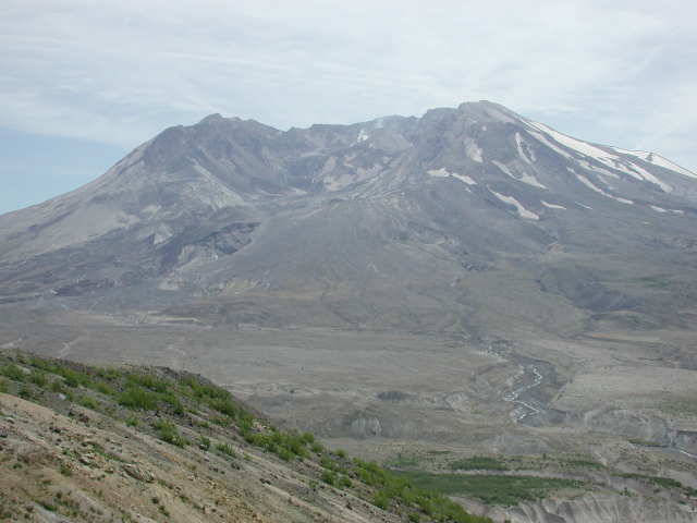 DSCN7555