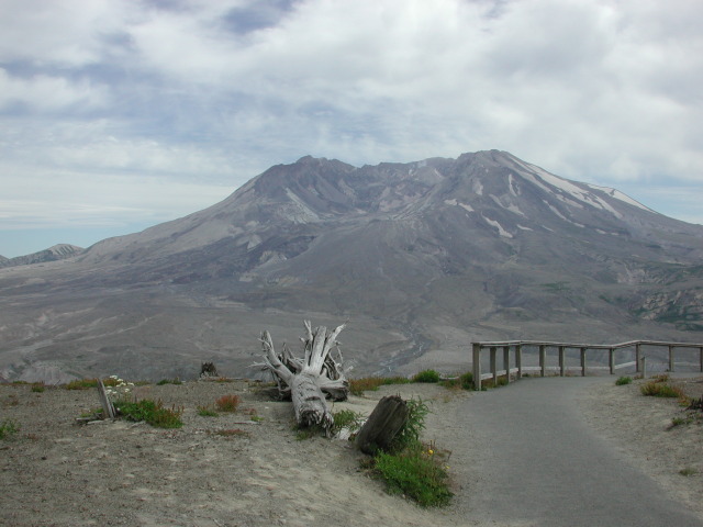 DSCN7576