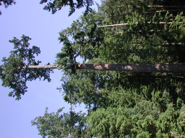 DSCN7713