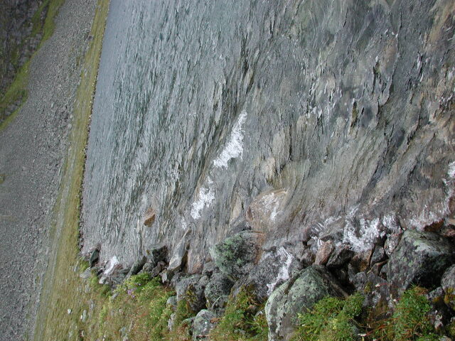 dscn2008