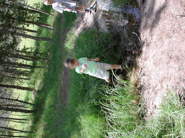 dscn0940