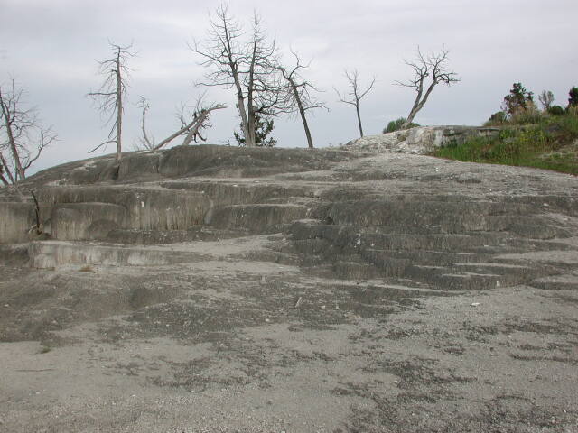 dscn0942