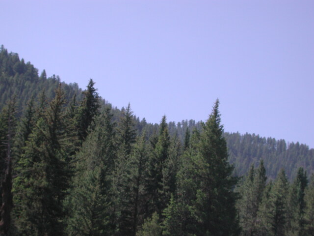 dscn0968
