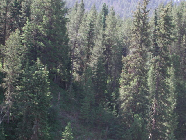 dscn0969