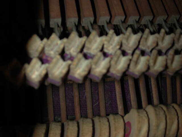 dscn0994
