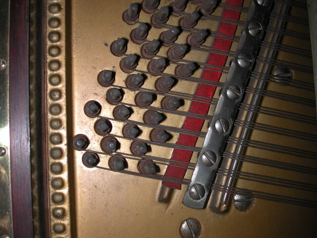 dscn1002