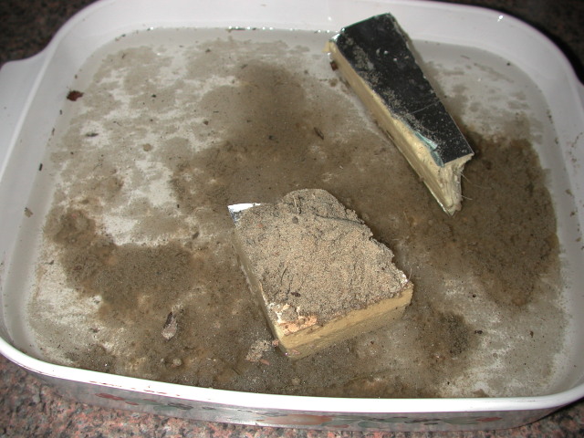 dscn1601