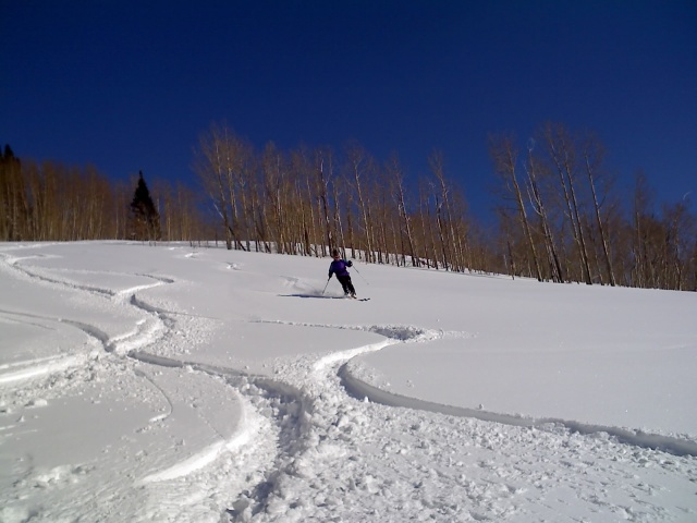 17-02-08_1508